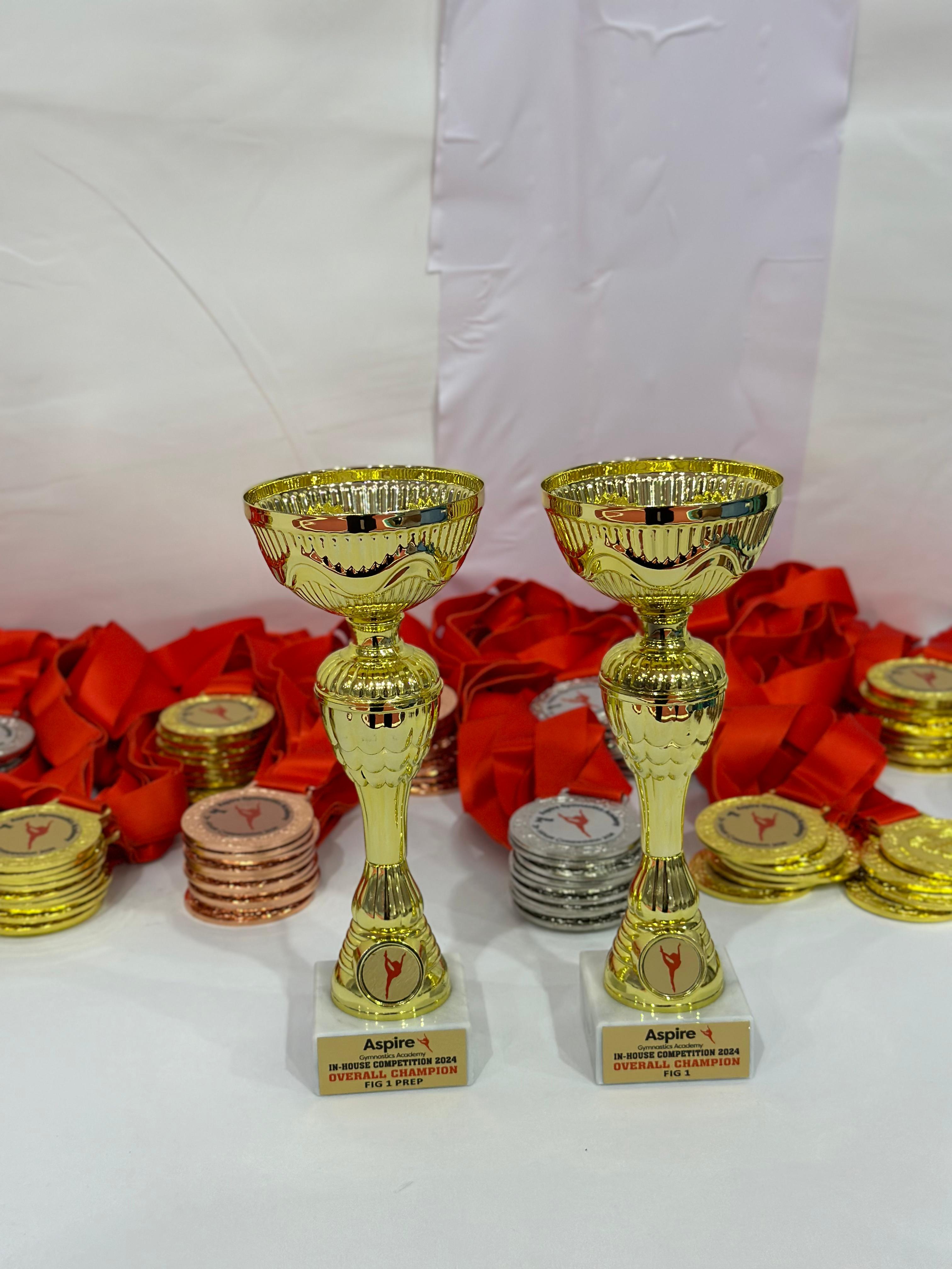 Gymnastics competition Bahrain